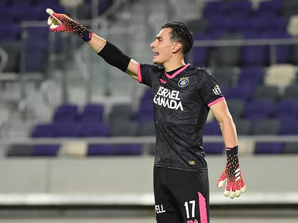 (ברני ארדוב)