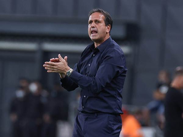 לוי. העביר מסר (דני מרון)