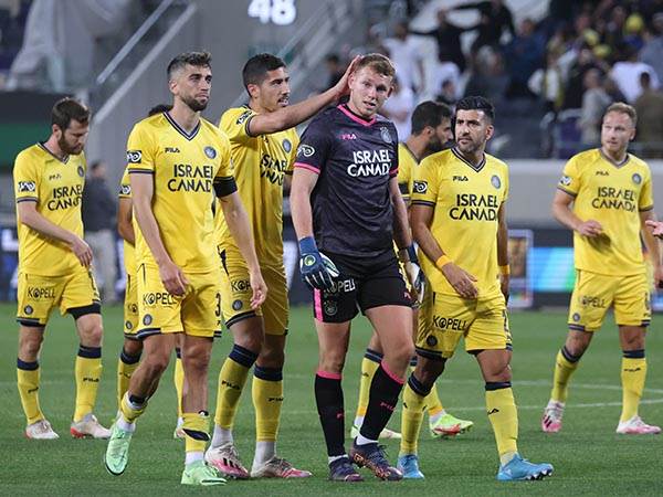 אין תלונות לשחקנים (אלן שיבר)