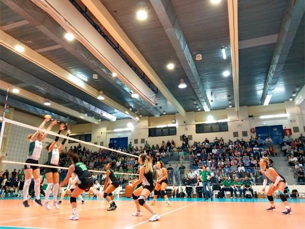 בפעם הרביעית בהיסטוריה (צילום: איגוד הכדורעף)