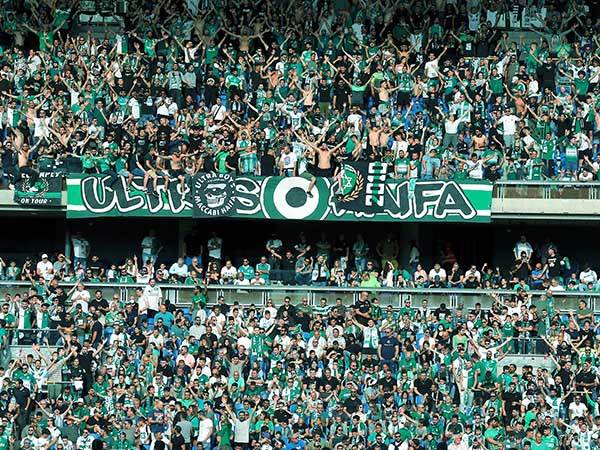 אוהדי חיפה (אלן שיבר)