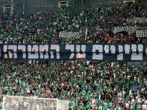 האליפות ירוקה. שוב (אלן שיבר)