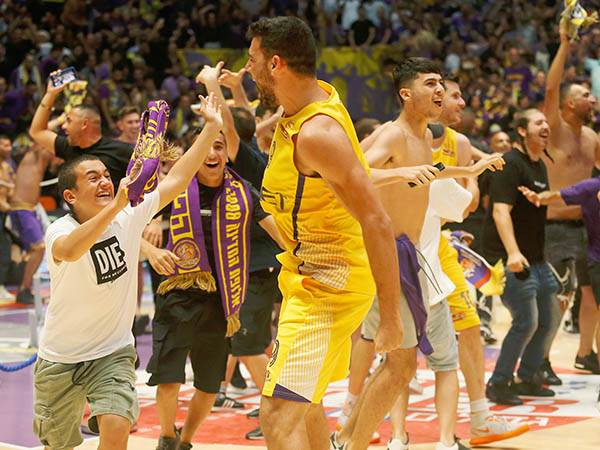 "חלום" (אלן שיבר)