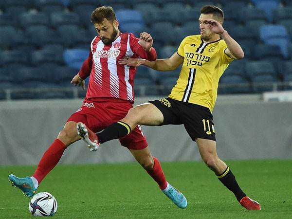 (ברני ארדוב)