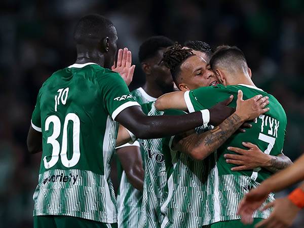 (מאור אלקסלסי)