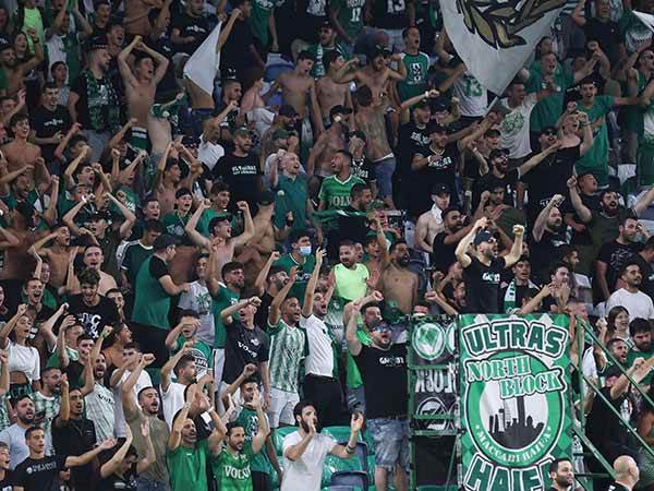 למצולמים אין קשר לכתבה. בלאגן ספסרות (ברני ארדוב)