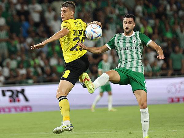 דין דוד. השראה (ברני ארדוב)