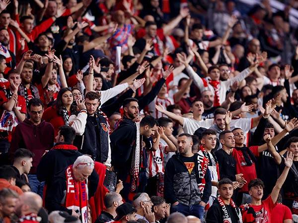 (מאור אלקסלסי)