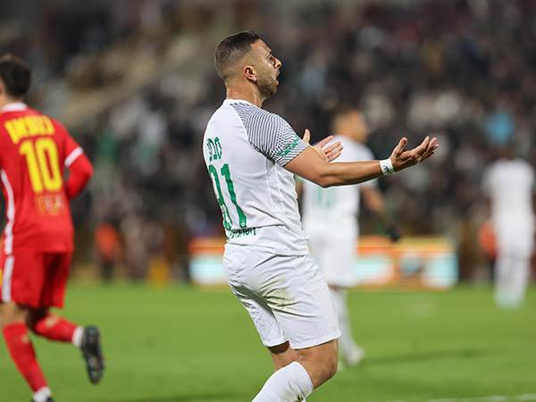 (מאור אלקסלסי)