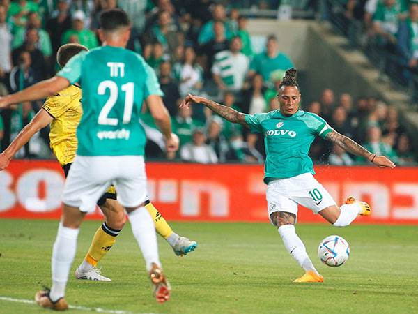 שרי גאה (אלן שיבר)