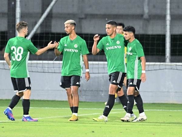 ההכנות נמשכות (ראובן כהן, האתר הרשמי)