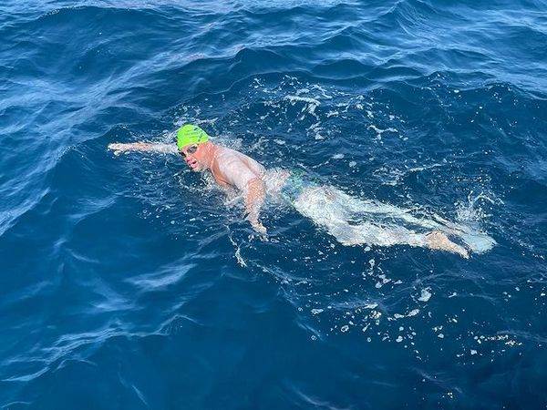 סטיב סטיוונאר | צילום: אינסטגרם