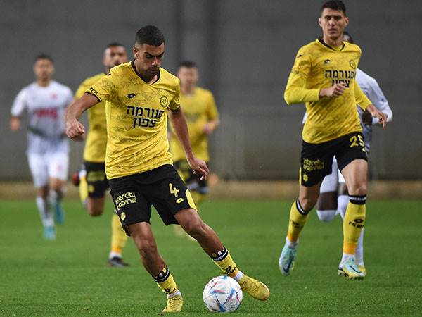 (ברני ארדוב)