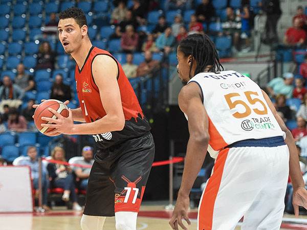 גלעד לוי (ברני ארדוב)