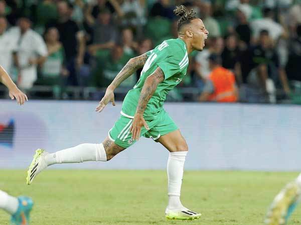 משמעותי (אלן שיבר)