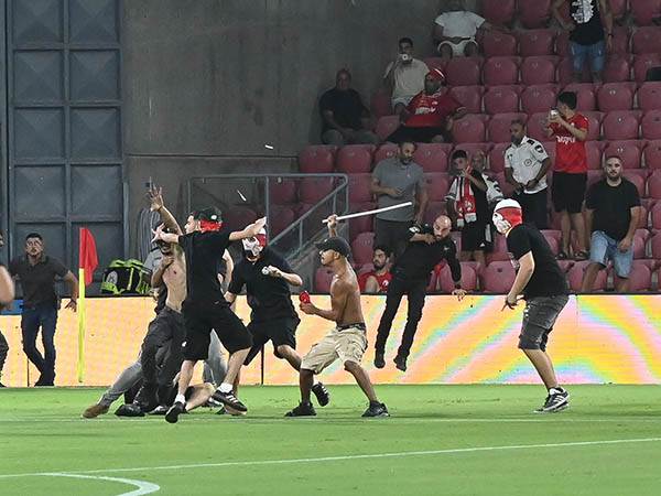 (ברני ארדוב)