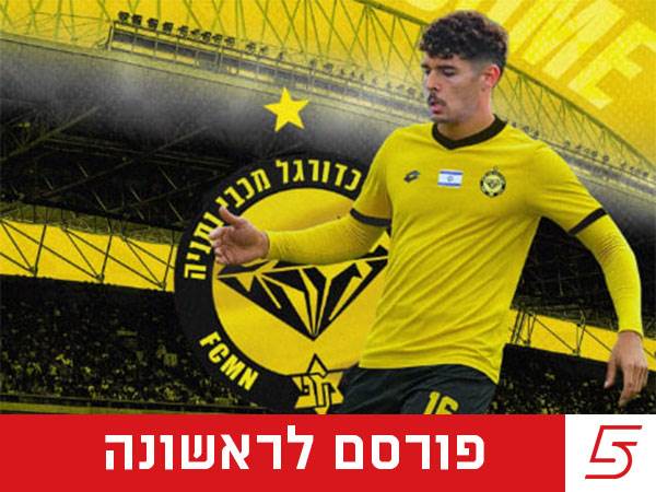 (אלן שיבר)