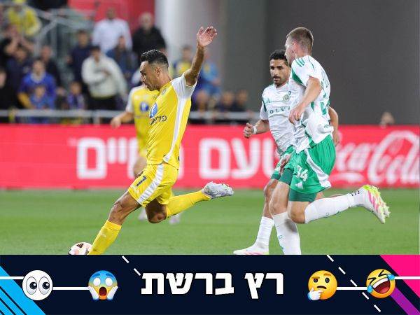(אלן שיבר)
