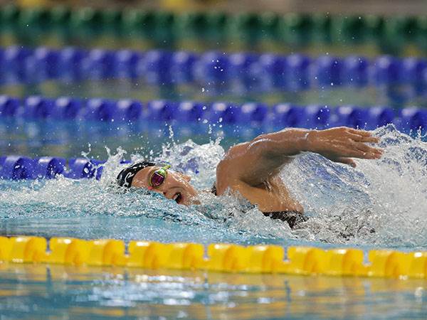 (צילום: גלעד קוולרצ׳יק)