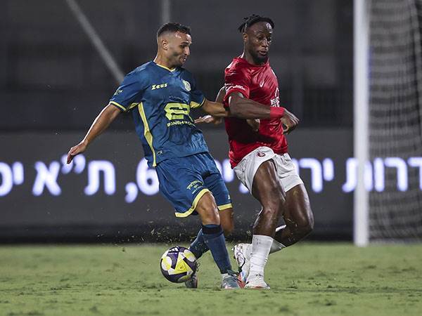 (מאור אלקסלסי)