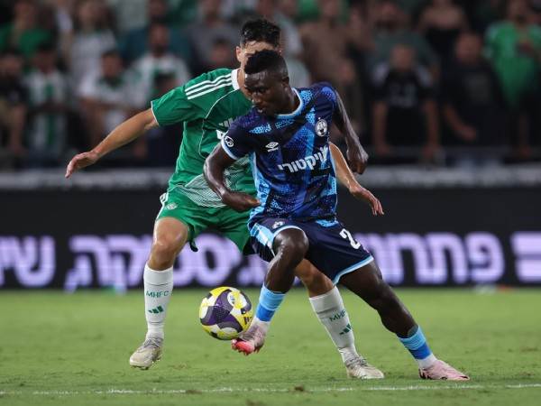 (מאור אלקסלסי)