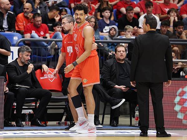 (צילום: אלן שיבר)