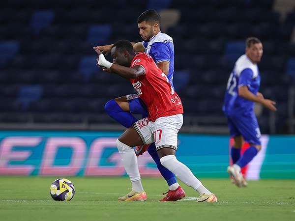 (צילום: אלן שיבר)