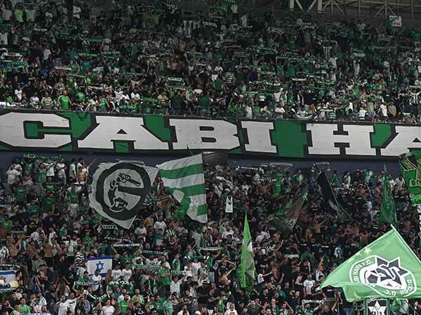 (מאור אלקסלסי)