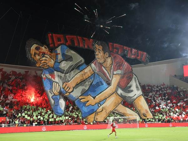 (צילום: אלן שיבר)