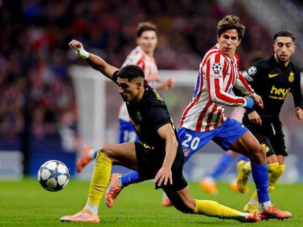 Manu Reino/DeFodi Images/DeFodi via Getty Images