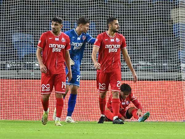 (ברני ארדוב)