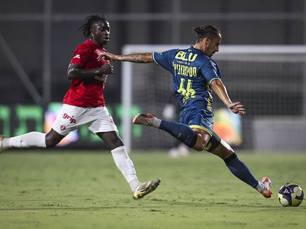 (מאור אלקסלסי)