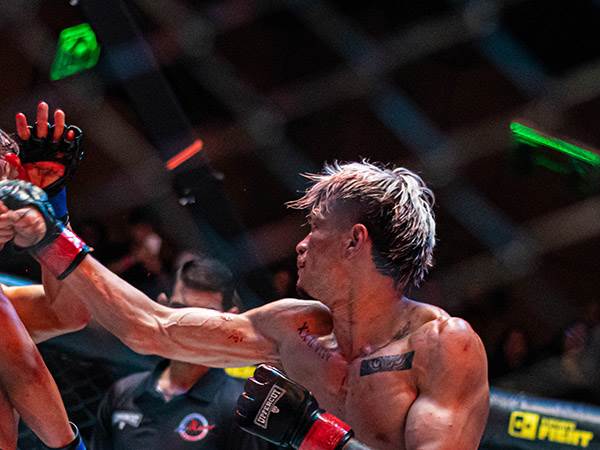 מדהים. כיבדי גורדון (ffc)