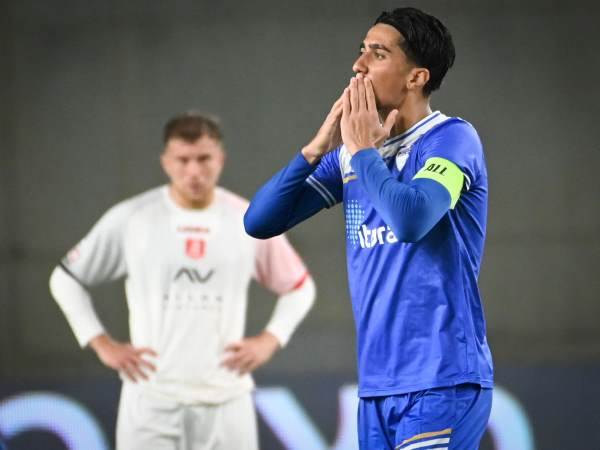 (ברני ארדוב)