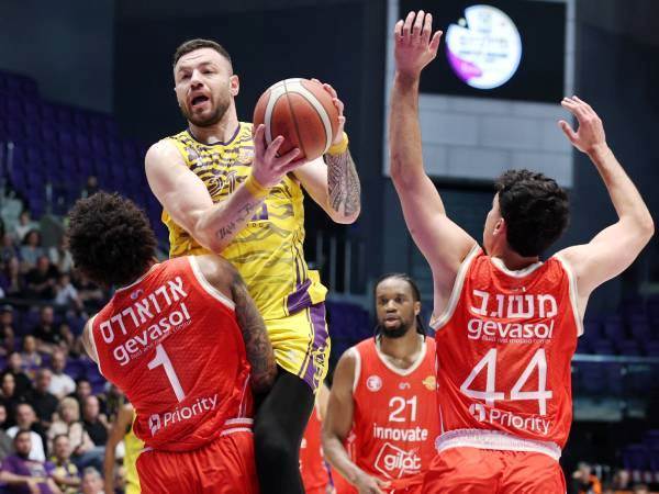 (צילום: אלן שיבר)