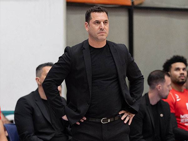 (ספי מגריזו)