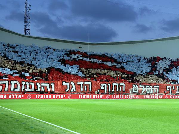 (צילום: אלן שיבר)