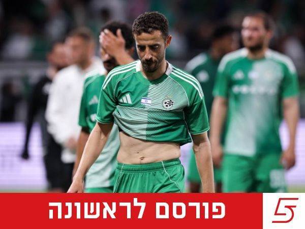 (מאור אלקסלסי)