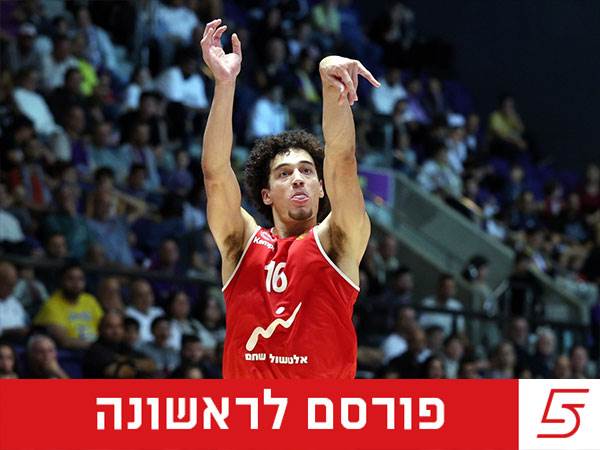 (אלן שיבר)