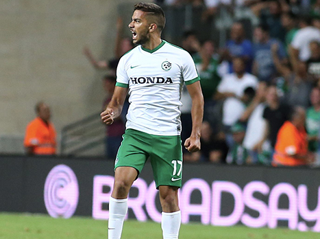 שובל גוזלן. אחד המלפפונים הכי חמים בינואר (צילום: אלן שיבר)