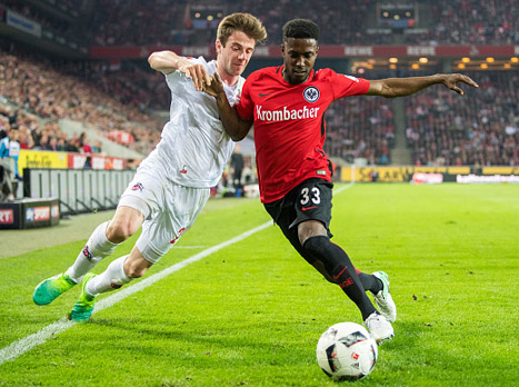 יקבל חבר חדש? טוואטחה (getty)