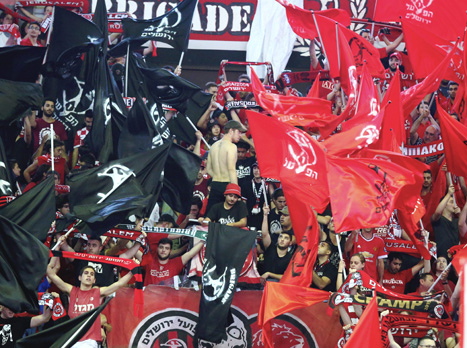 חגיגה אדומה ביציעים (אלן שיבר)