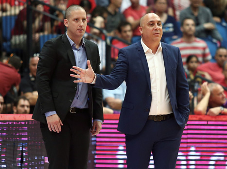 יחזור לארנה? אלפסי (אלן שיבר)