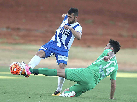 משען. אחד היעדים של עכו (אלן שיבר)