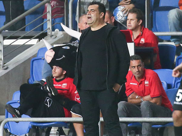 אהב מה שראה. קורצקי