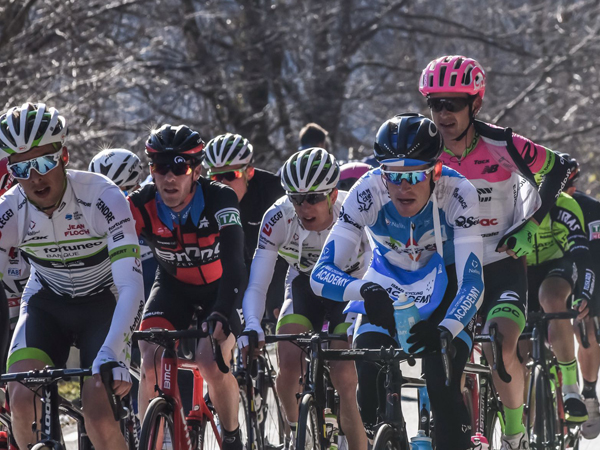 (נועה ארנון)