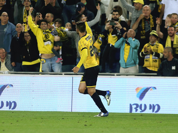 טדי עלה על גדותיו (אלן שיבר)