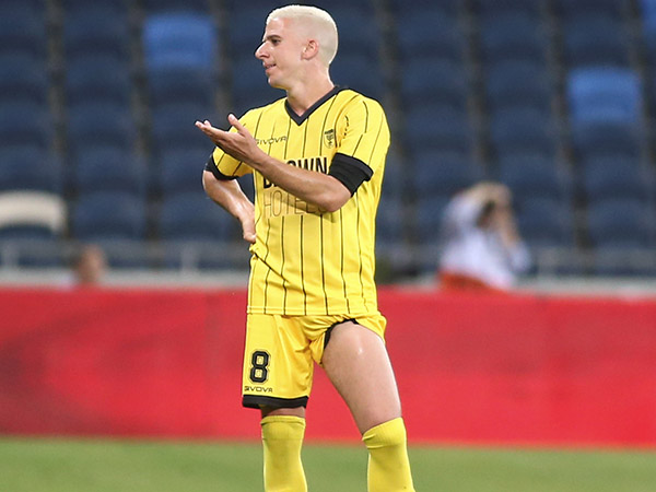 ורד יפנה לבוררות? (דני מרון)