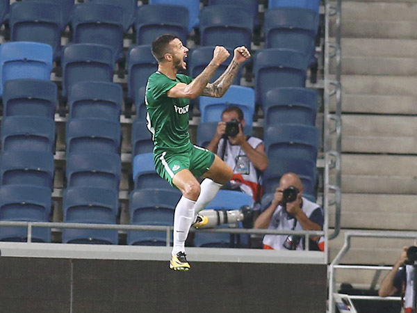 רוקאביצה. סיומת של חלוץ (אלן שיבר)