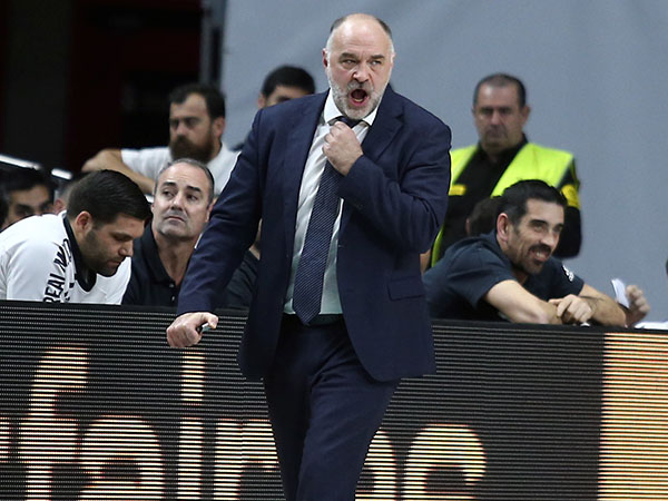 לאסו. מחפש את דונצ'יץ' הבא? (אלן שיבר)